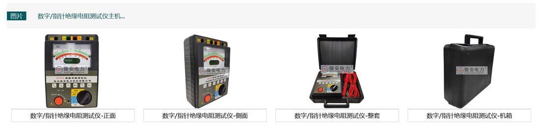 數字/指針絕緣電阻測試儀