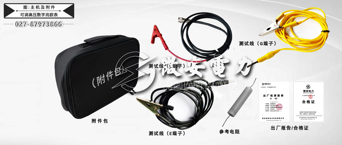 10KV可調高壓數字兆歐表全套附件